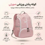 اینفوگرافی شوز بگ