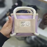 کیف دستی و دوشی کوچک (مینی بگ)